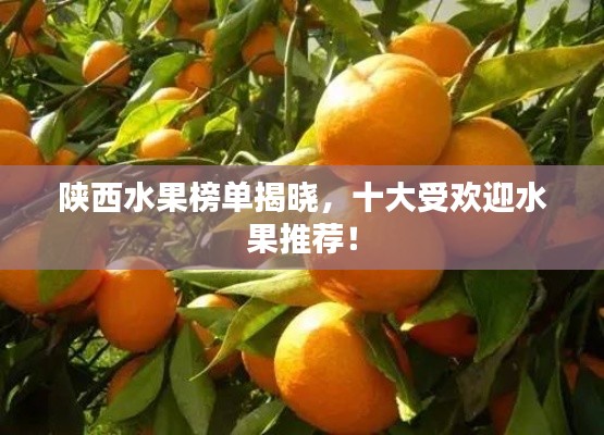 陕西水果榜单揭晓，十大受欢迎水果推荐！