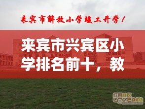 来宾市兴宾区小学排名前十，教育明珠闪耀的优质学府