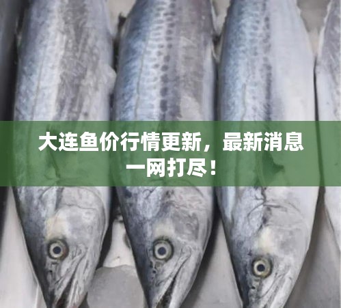 贵农贱商 第2页