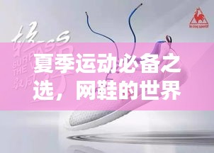 夏季运动必备之选，网鞋的世界，探索惊喜只需一键百度！