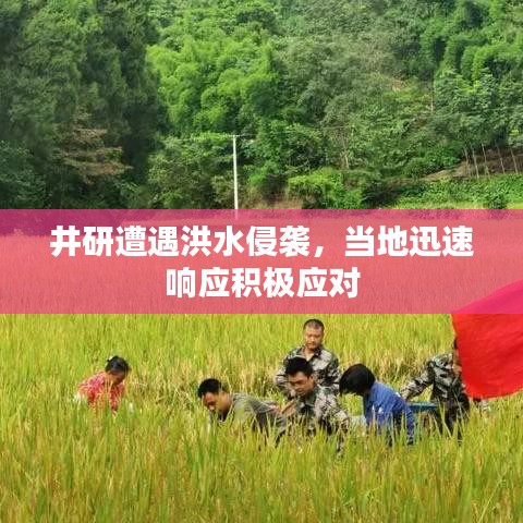 井研遭遇洪水侵袭，当地迅速响应积极应对