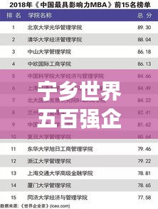 宁乡世界五百强企业地位及影响力深度解析