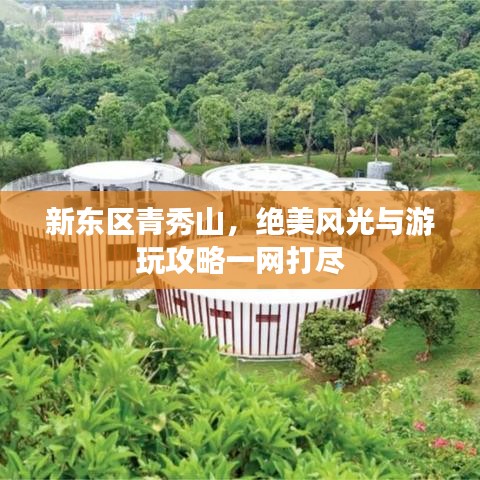 新东区青秀山，绝美风光与游玩攻略一网打尽