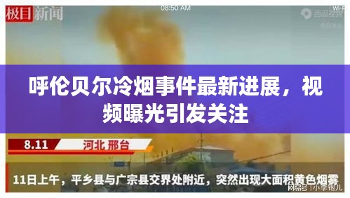 呼伦贝尔冷烟事件最新进展，视频曝光引发关注