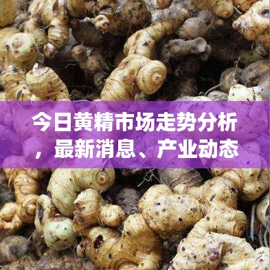 无影无踪 第2页