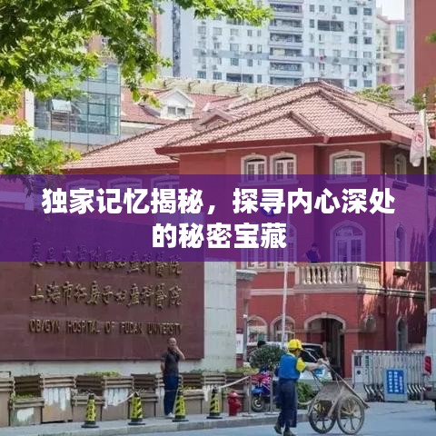 独家记忆揭秘，探寻内心深处的秘密宝藏