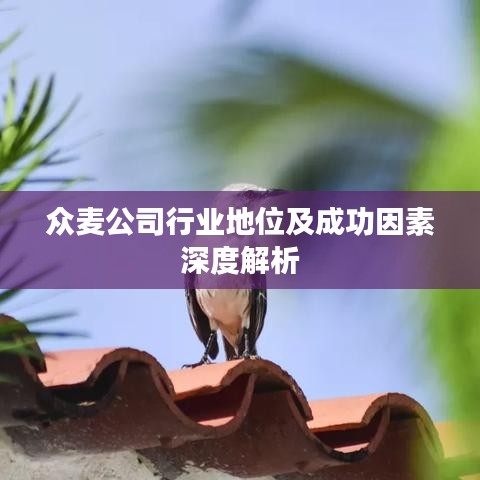 众麦公司行业地位及成功因素深度解析