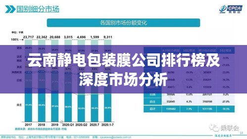 云南静电包装膜公司排行榜及深度市场分析