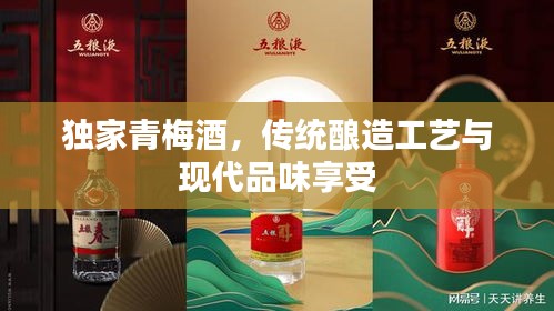 独家青梅酒，传统酿造工艺与现代品味享受