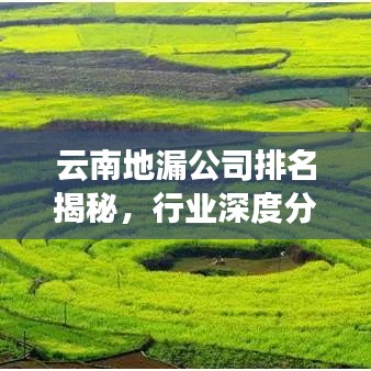 云南地漏公司排名揭秘，行业深度分析与趋势预测