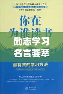 励志学习名言荟萃，小说中的智慧启示