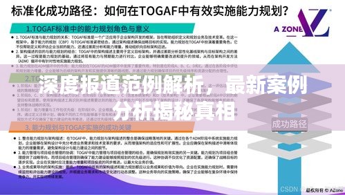 深度报道范例解析，最新案例分析揭秘真相