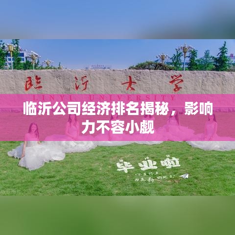 临沂公司经济排名揭秘，影响力不容小觑