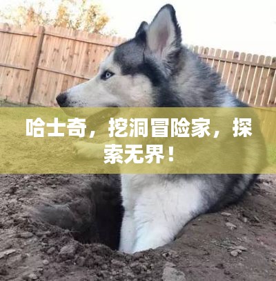 没精打采 第2页