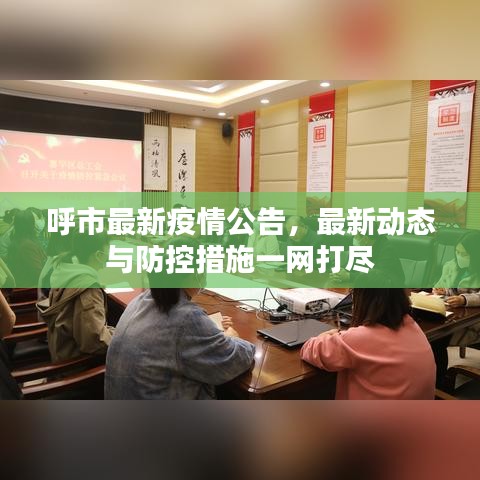 呼市最新疫情公告，最新动态与防控措施一网打尽