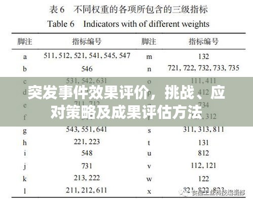 突发事件效果评价，挑战、应对策略及成果评估方法