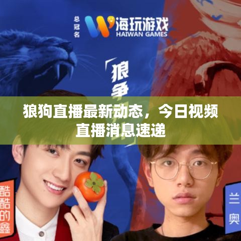狼狗直播最新动态，今日视频直播消息速递