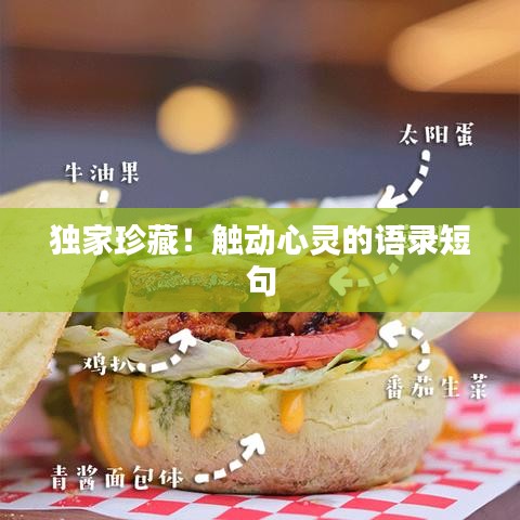 独家珍藏！触动心灵的语录短句