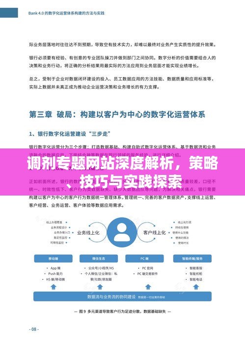 调剂专题网站深度解析，策略、技巧与实践探索