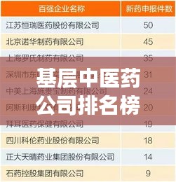 基层中医药公司排名榜揭晓，探寻中医药行业的佼佼者