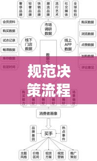 规范决策流程，提升质量与效率的关键所在