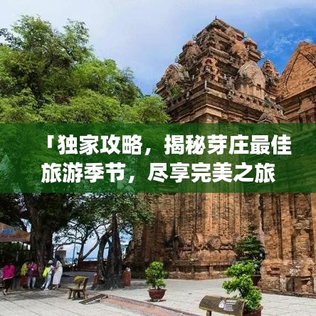 「独家攻略，揭秘芽庄最佳旅游季节，尽享完美之旅！」