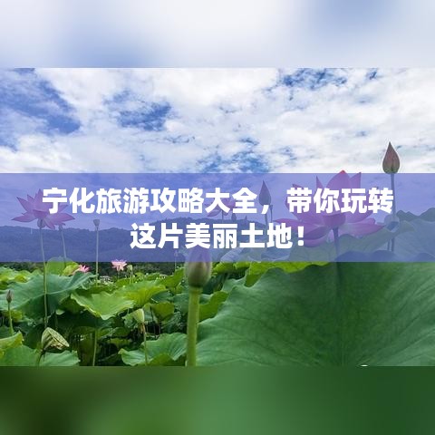 宁化旅游攻略大全，带你玩转这片美丽土地！