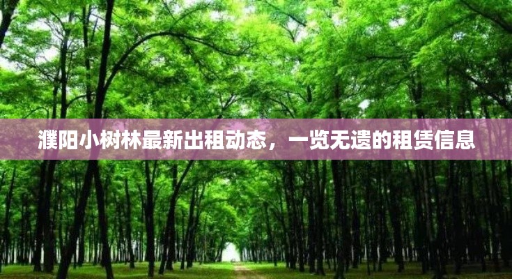 芳兰竟体