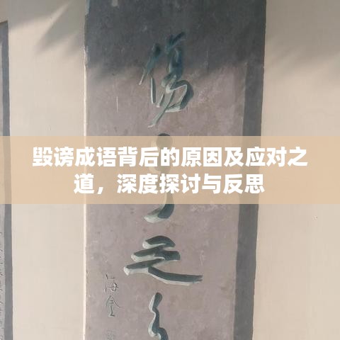 客户反馈 第18页