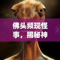 佛头频现怪事，揭秘神秘现象背后的奥秘