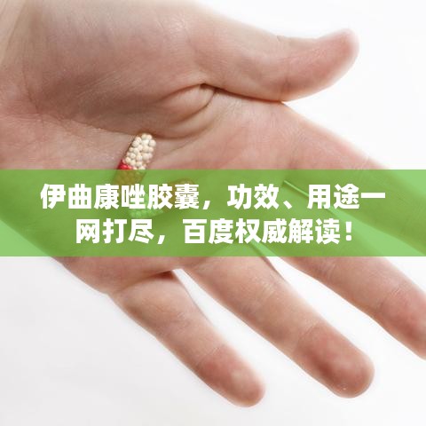 半截鸟木