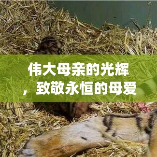服务项目 第14页