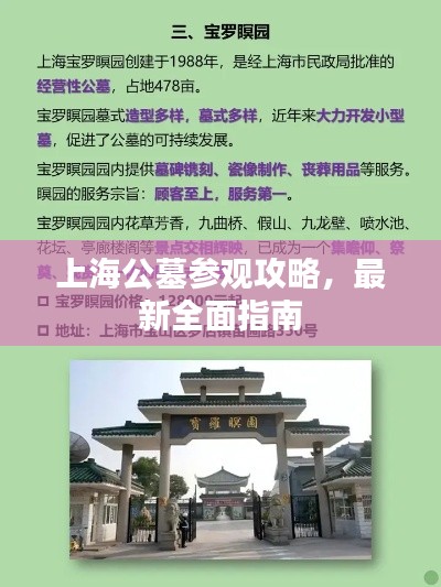 见缝就钻