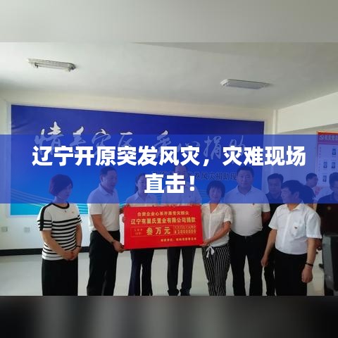 辽宁开原突发风灾，灾难现场直击！