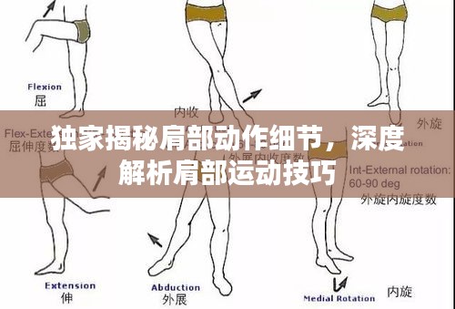 服务项目 第5页