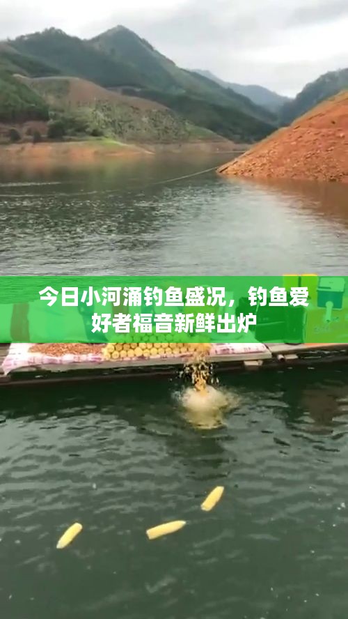 联系我们 第3页