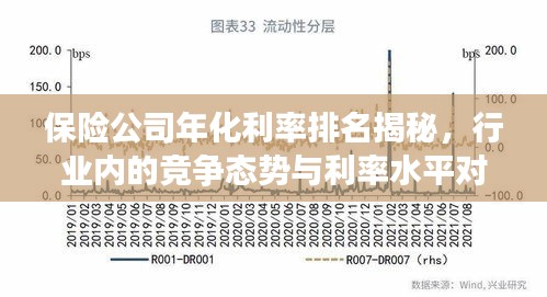 保险公司年化利率排名揭秘，行业内的竞争态势与利率水平对比观察
