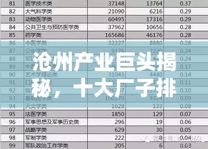 沧州产业巨头揭秘，十大厂子排名榜单！