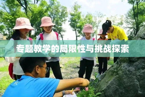 专题教学的局限性与挑战探索
