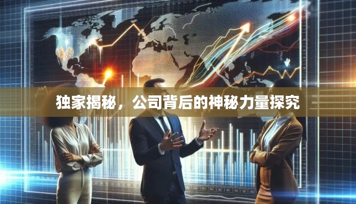 独家揭秘，公司背后的神秘力量探究