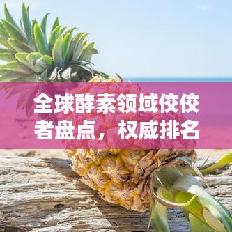 全球酵素领域佼佼者盘点，权威排名榜单揭晓