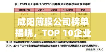 咸阳薄膜公司榜单揭晓，TOP 10企业排名榜单出炉！