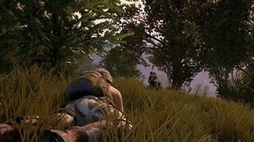 大逃杀版本更新,权威分析解释定义|2DM_v5.996