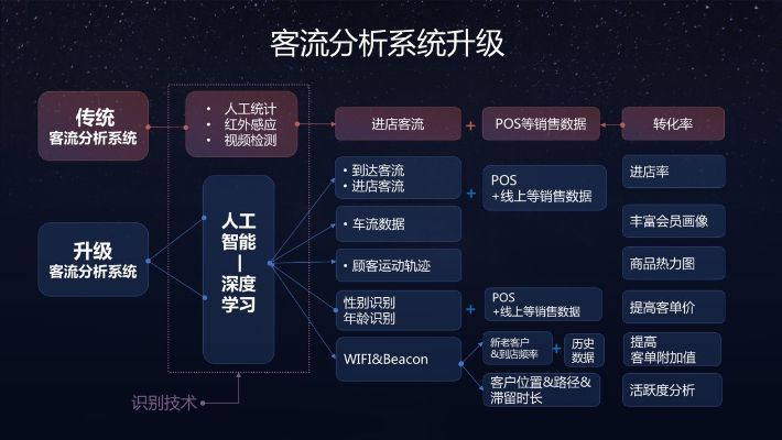 流氓官方下载,全面执行分析数据_创意版1_v2.509