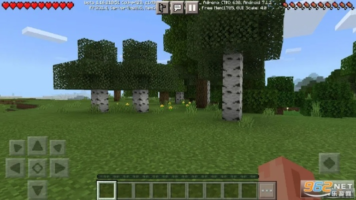 我的世界2单机版或农行官方掌上银行下载,多元化策略执行_Console_v2.320