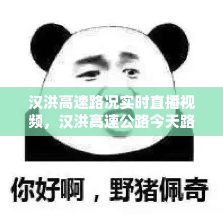汉洪高速路况实时直播视频，汉洪高速公路今天路况 