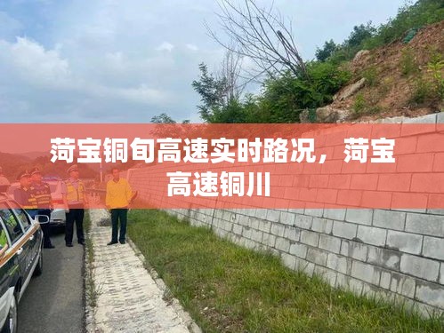 富贵逼人来 第4页