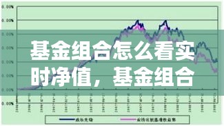 基金组合怎么看实时净值，基金组合怎么看净值估算 