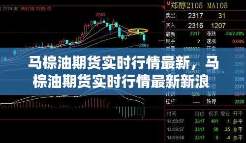 马棕油期货实时行情最新，马棕油期货实时行情最新新浪 