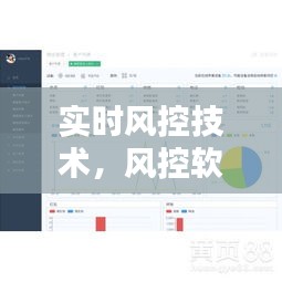 实时风控技术，风控软件是用来干什么的 